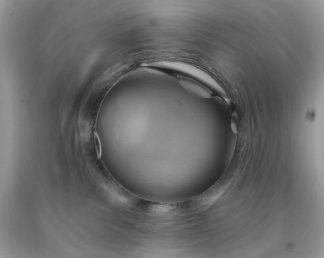 X0000091580139200709051109