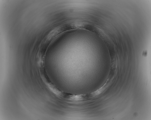 X0000091580140200709051109