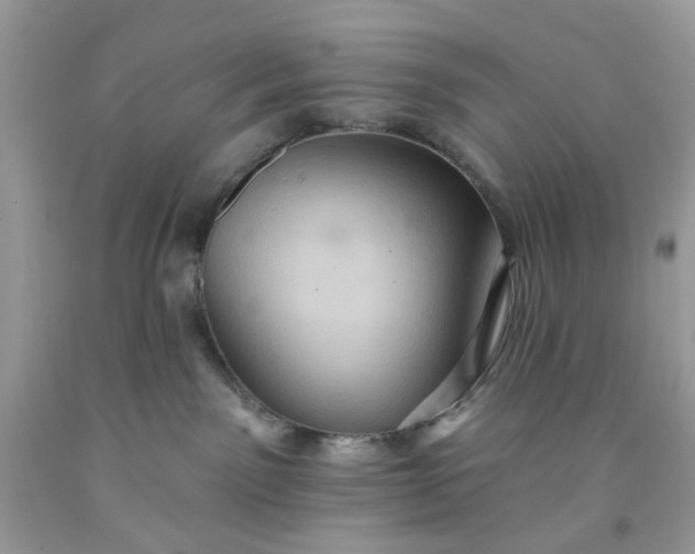 X0000091580141200709051108