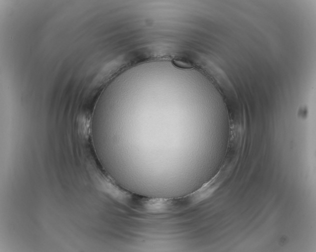 X0000091580142200709051108