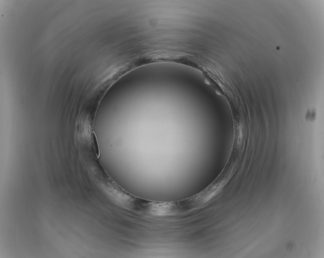 X0000091580143200709051108