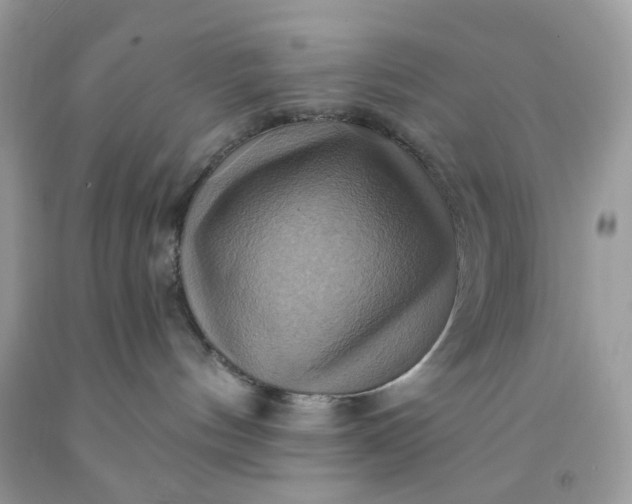 X0000091580144200709051108