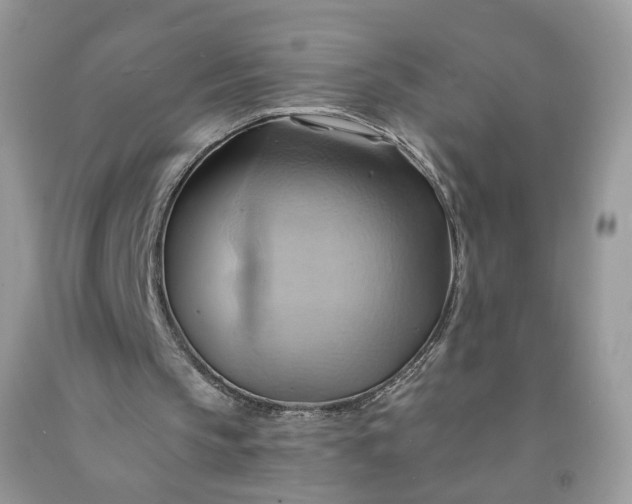 X0000091580145200709051108