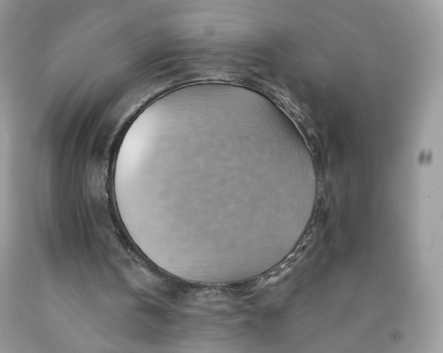 X0000091580146200709051108