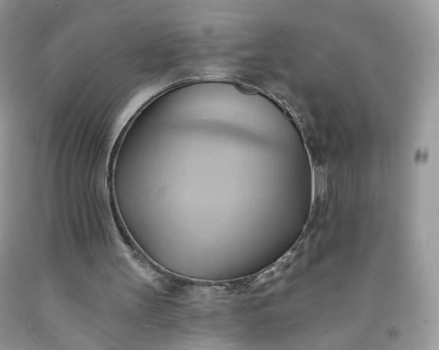 X0000091580147200709051108