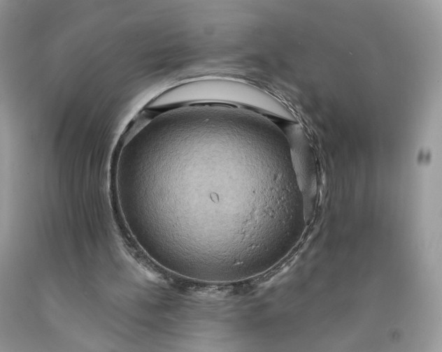 X0000091580148200709051108