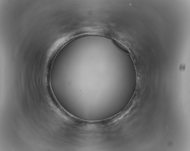 X0000091580149200709051108