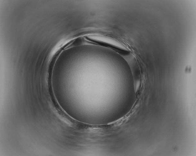 X0000091580150200709051108