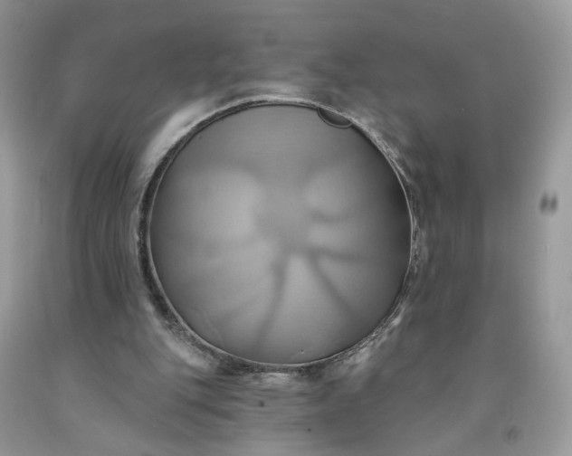 X0000091580151200709051108