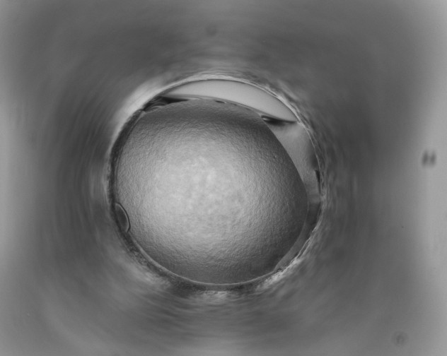 X0000091580152200709051108