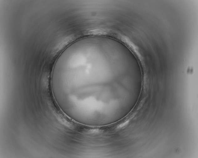 X0000091580153200709051108