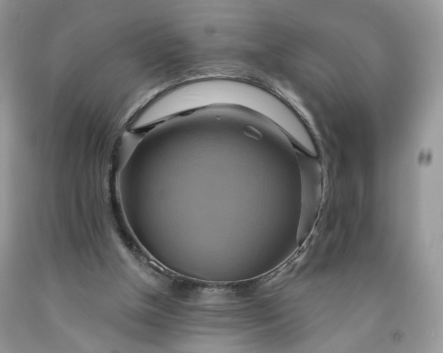 X0000091580154200709051108