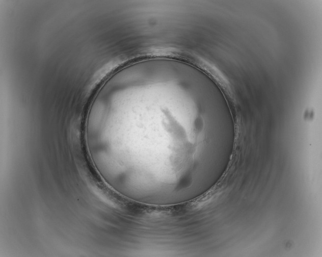 X0000091580155200709051108