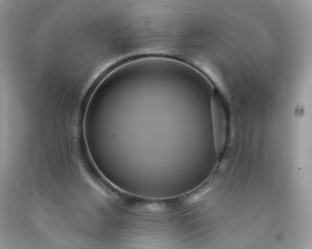 X0000091580156200709051108