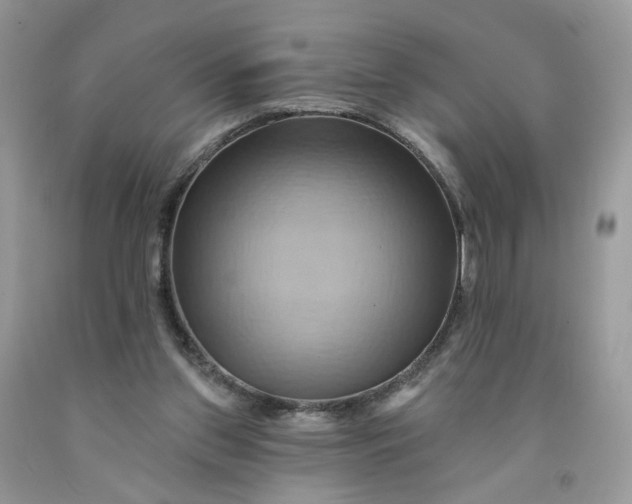 X0000091580157200709051108