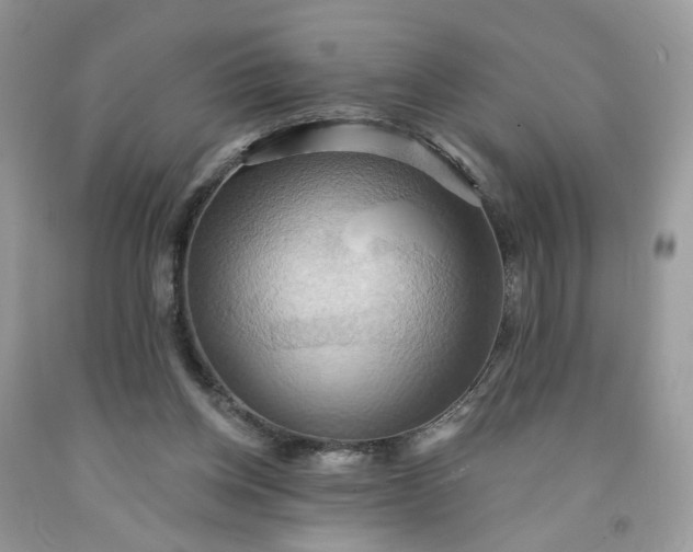 X0000091580158200709051108