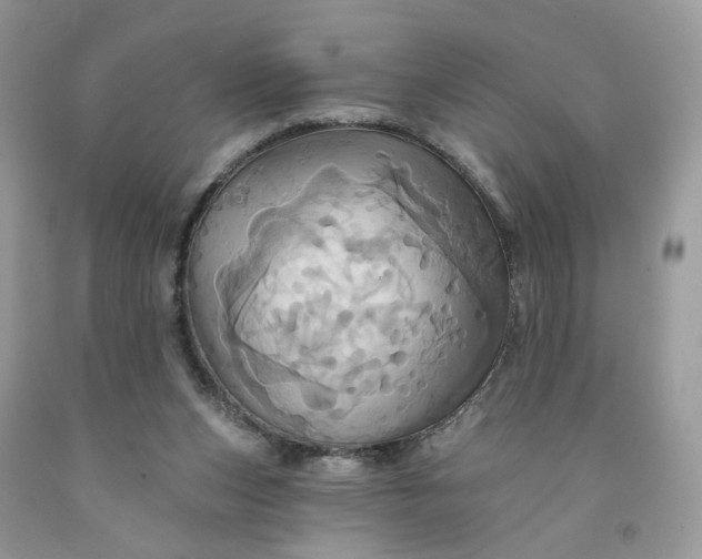 X0000091580159200709051108