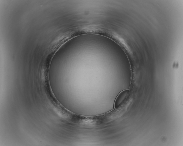 X0000091580161200709051108