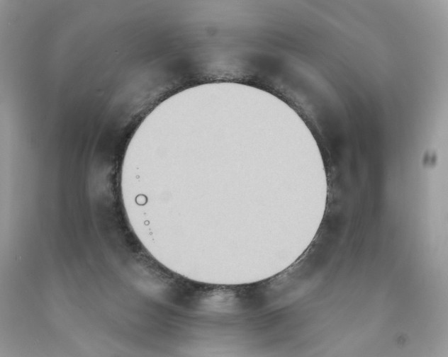 X0000091580162200709051108