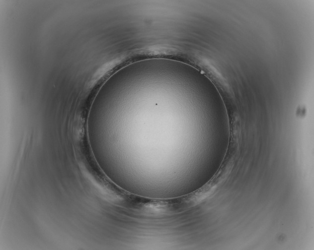 X0000091580164200709051108