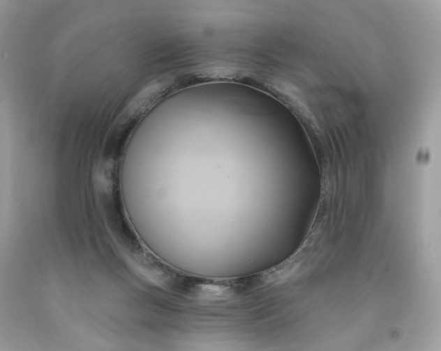 X0000091580167200709051108