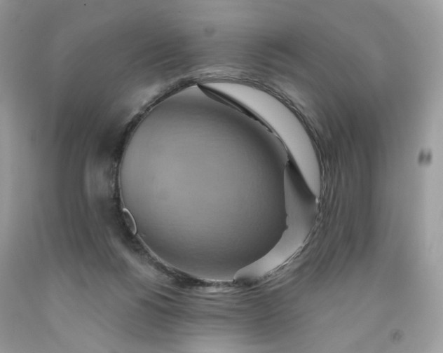 X0000091580168200709051108