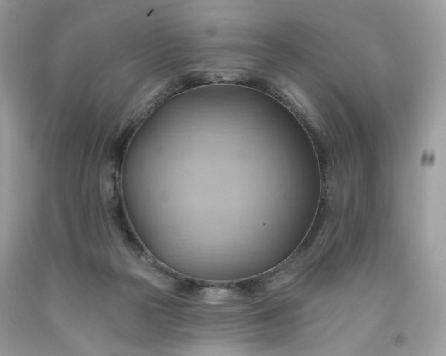 X0000091580169200709051108