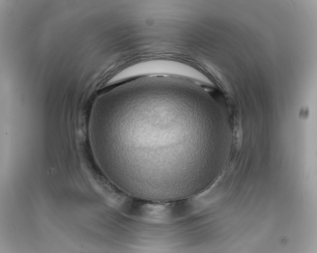 X0000091580170200709051108