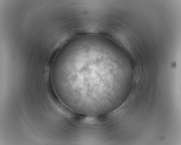 X0000091580171200709051108