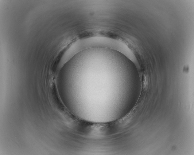 X0000091580172200709051108