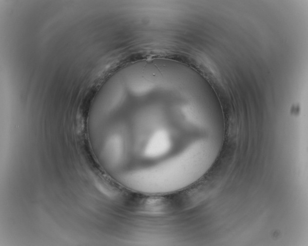 X0000091580173200709051108