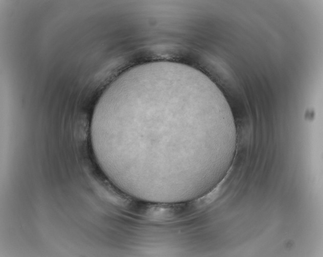 X0000091580174200709051108