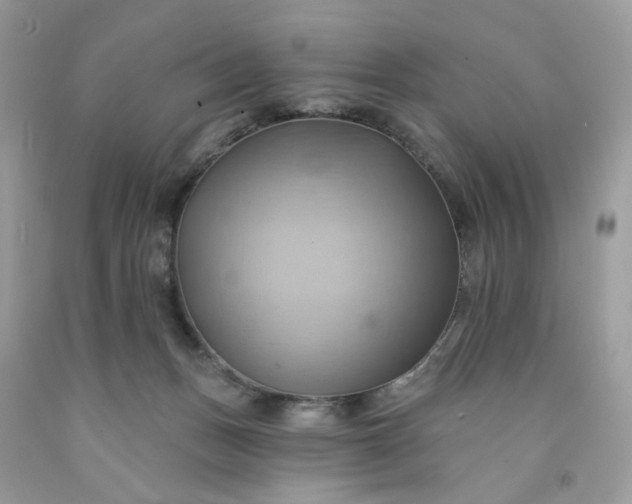 X0000091580175200709051108