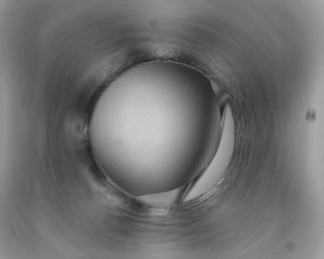 X0000091580176200709051108