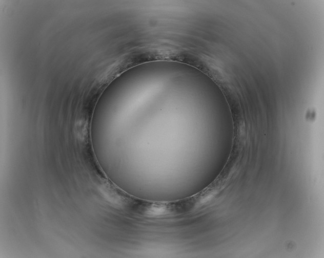 X0000091580177200709051108