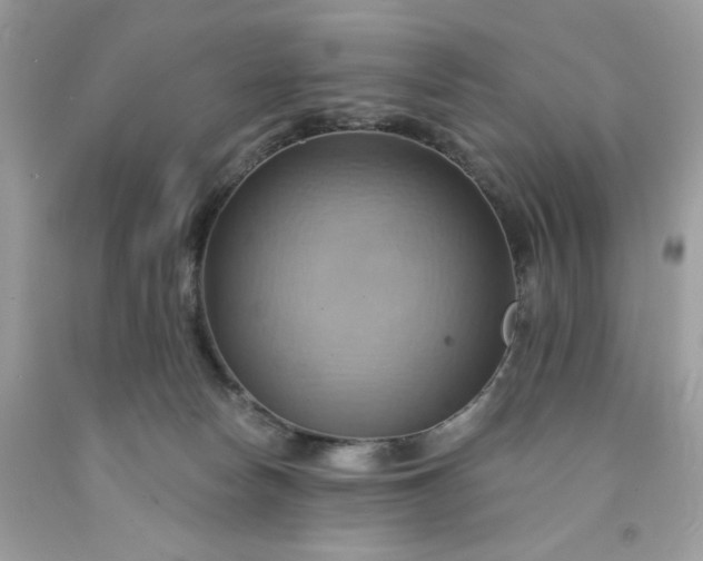 X0000091580178200709051108