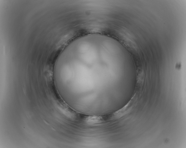 X0000091580179200709051108