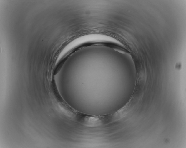 X0000091580180200709051108