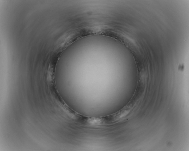 X0000091580181200709051108