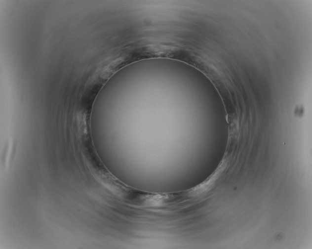 X0000091580182200709051108