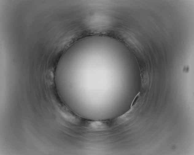 X0000091580183200709051108