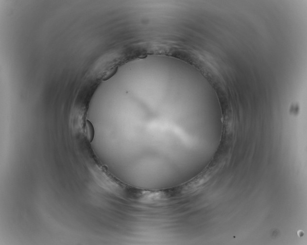 X0000091580185200709051108