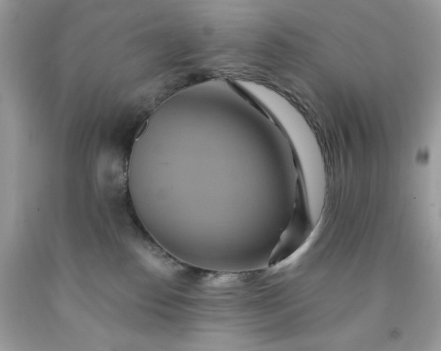 X0000091580186200709051108