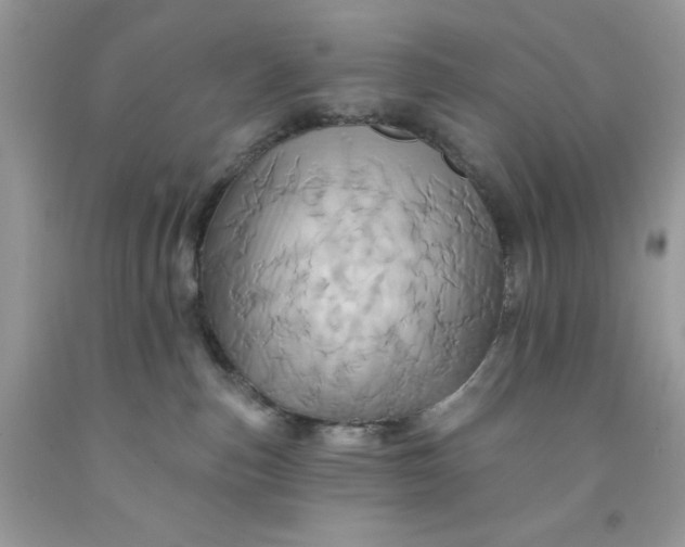 X0000091580187200709051108