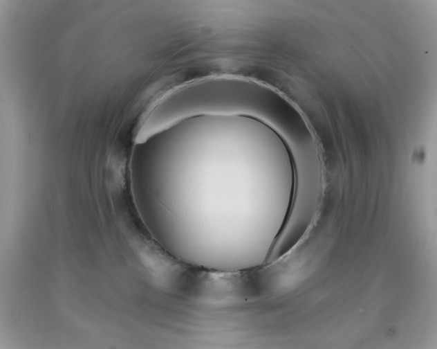 X0000091580188200709051108