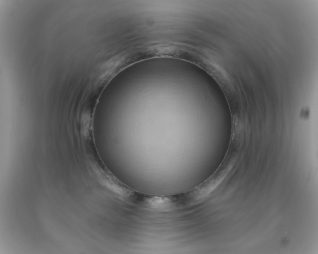 X0000091580189200709051108