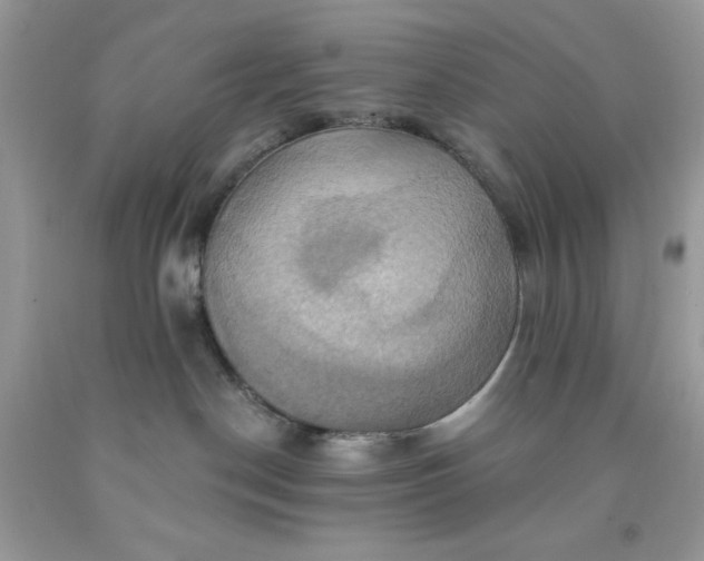 X0000091580190200709051108