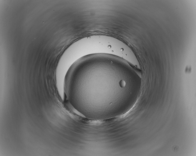 X0000091580192200709051108