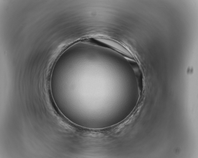 X0000091580193200709051107