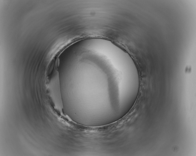 X0000091580194200709051107